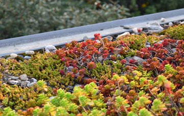 the cost of Munderfield Row green roof installation