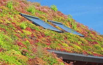 Munderfield Row living roof systems